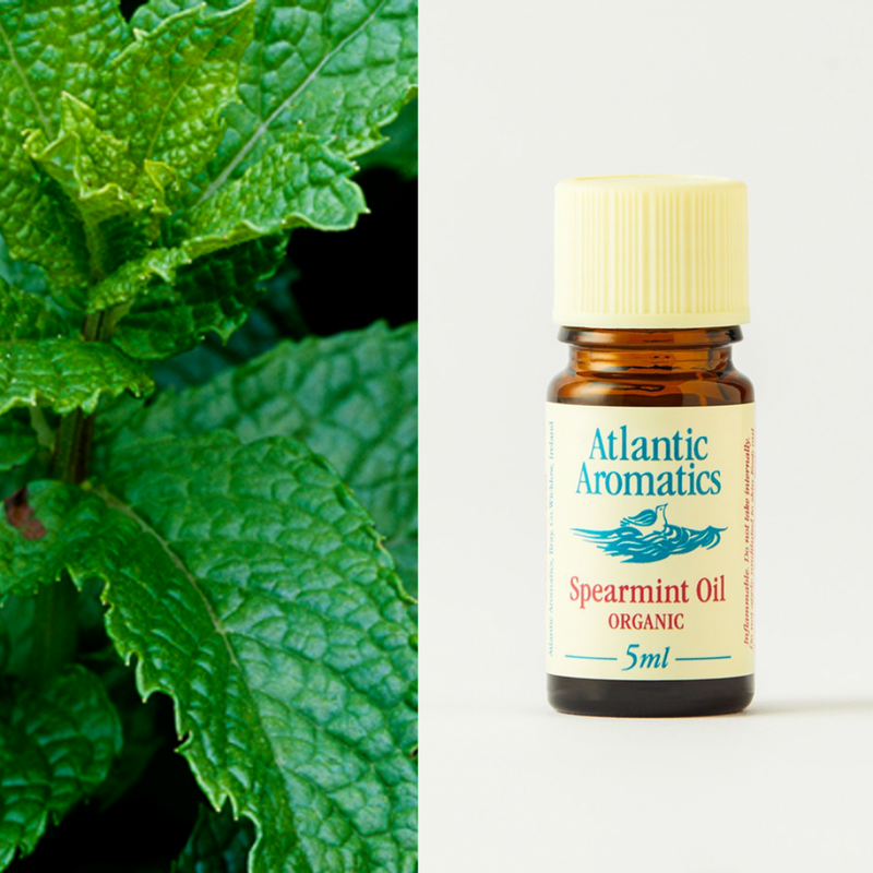 Atlantic Aromatics Spearmint Oil Organic 5ML