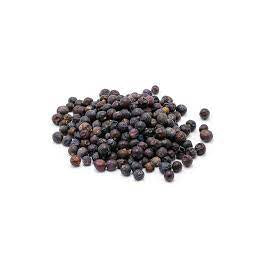 Juniper Berries ( Juniperus communis )